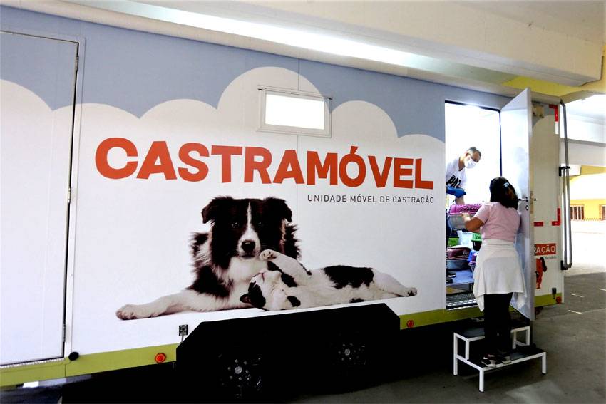Coordenadoria de Defesa Animal terá projeto de castração solidária no Piauí